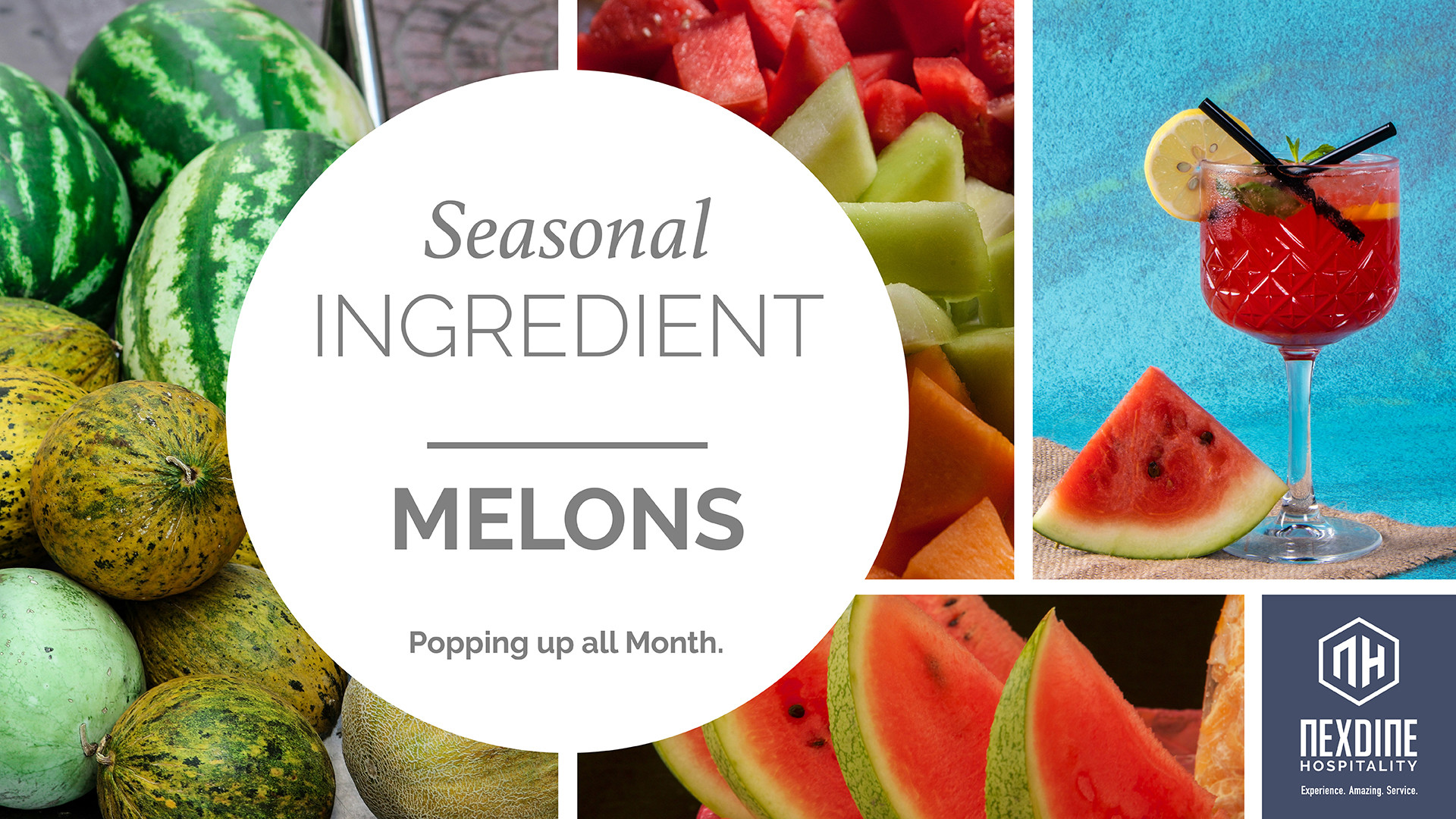 https://locations.nexdine.com/images/uploads/SI-Seasonal-Ingredient-DigitalScreen-HORZ_AUG_Melons.jpg