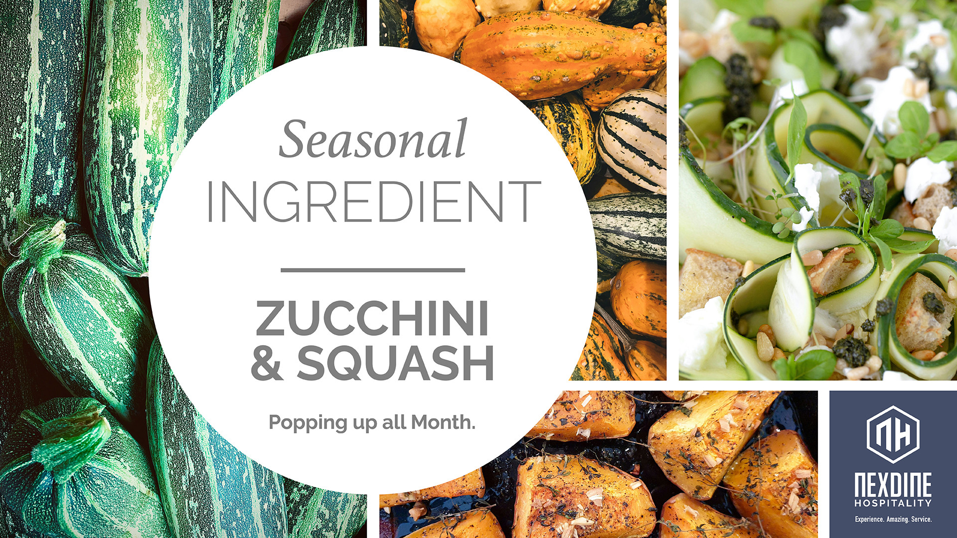 https://locations.nexdine.com/images/uploads/SI-Seasonal-Ingredient-DigitalScreen-HORZ_AUG_ZucchiniSquash.jpg