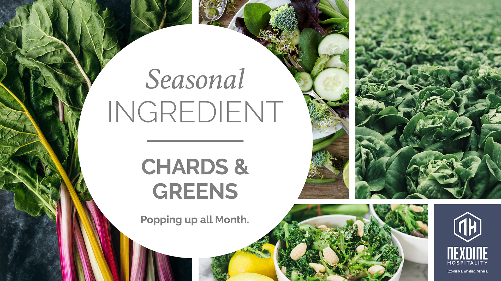 https://locations.nexdine.com/images/uploads/SI-Seasonal-Ingredient-DigitalScreen-HORZ_MARCH-ChardsGreens.jpg