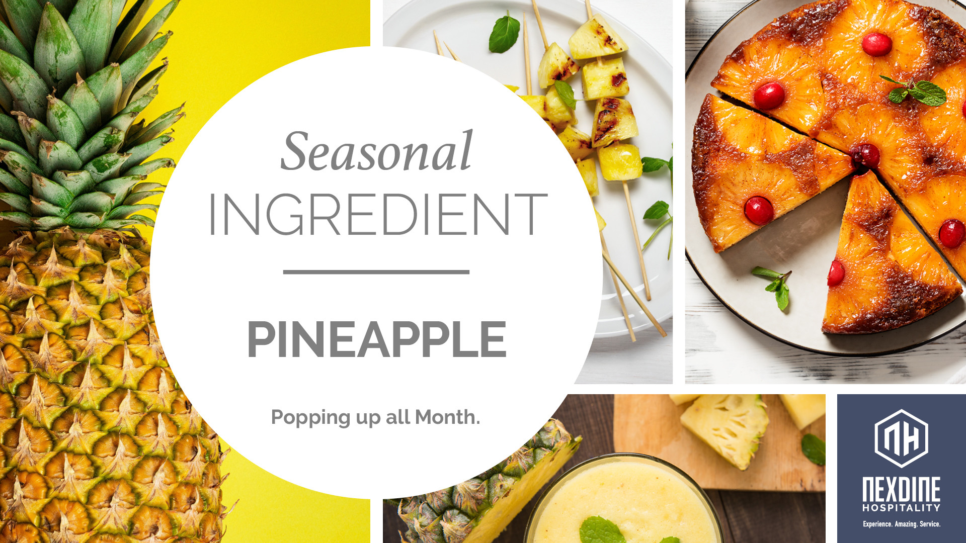 https://locations.nexdine.com/images/uploads/SI-Seasonal-Ingredient-DigitalScreen_HORZ_MARCH_Pineapple.jpg
